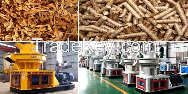 Sawdust Pellet Machine/Pellet Machine/Wood Pellet Machine