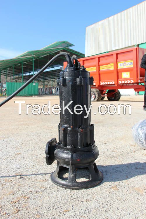 Submersible Manure Pump