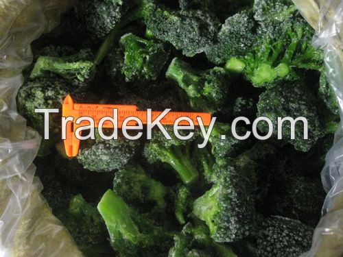 supply frozen broccoli florets