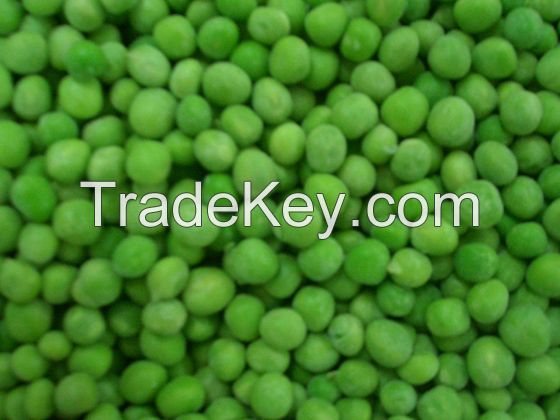 IQF Green Peas