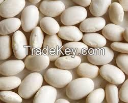 WHITE KIDNEY BEAND, RED KIDNEY BEANS, BLACK KIDNEY BEANS, COCOA BEANS