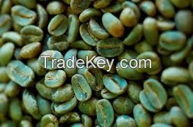 GREEN ARABICA COFFEE BEANS