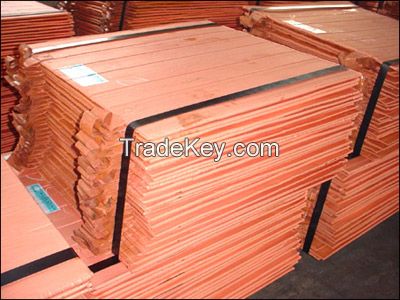 Best price copper cathode 99%