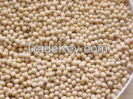 soybeans