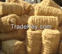 Coconut Fiber/ Coir Fibre