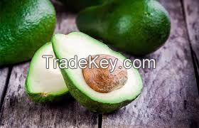 Fresh Avocado grade A