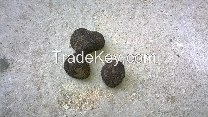 Truffles