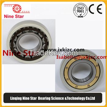 6319M/C3VL0241  Insulated Bearings for electric motor