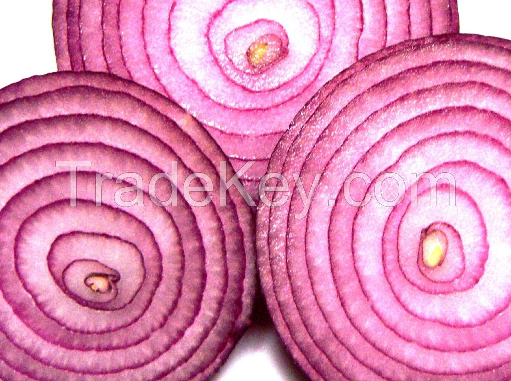 Red AND Yellow  Big Onion from THAILAND  Exporter