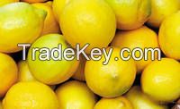 Fresh Lemon Citrus Fruit