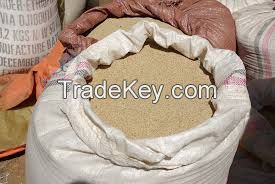 TEFF GRAINS