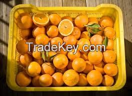 FRESH VALENCIA ORANGES