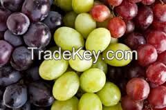 FRESH SEEDLESS GRAPES