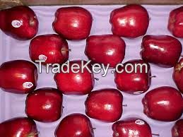 Fresh Red Delicious Apples