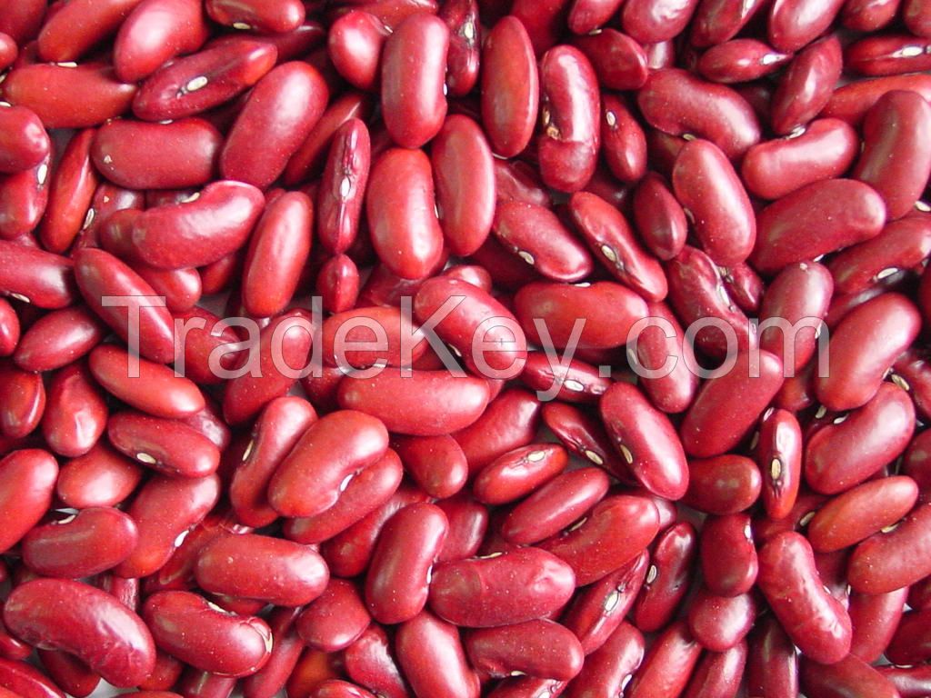 Kidney beans