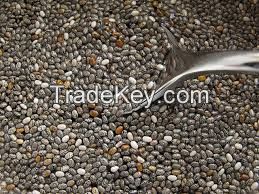 High Quality Chia Seeds ( Salvia hispanica ) 99.99% Purity