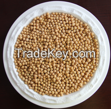 NON-GMO Dried Yellow Soybean