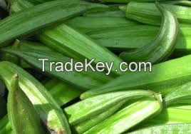 Fresh Okra for sale.