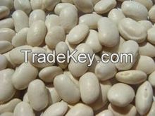 White kidney beans