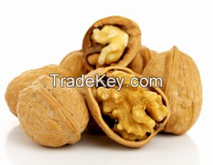 walnuts in shell and without shell