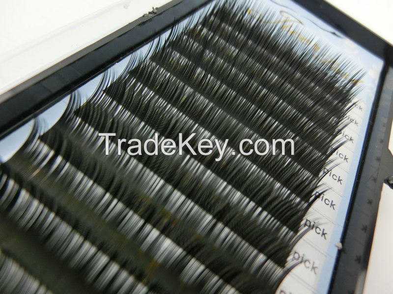 Eyelash extension