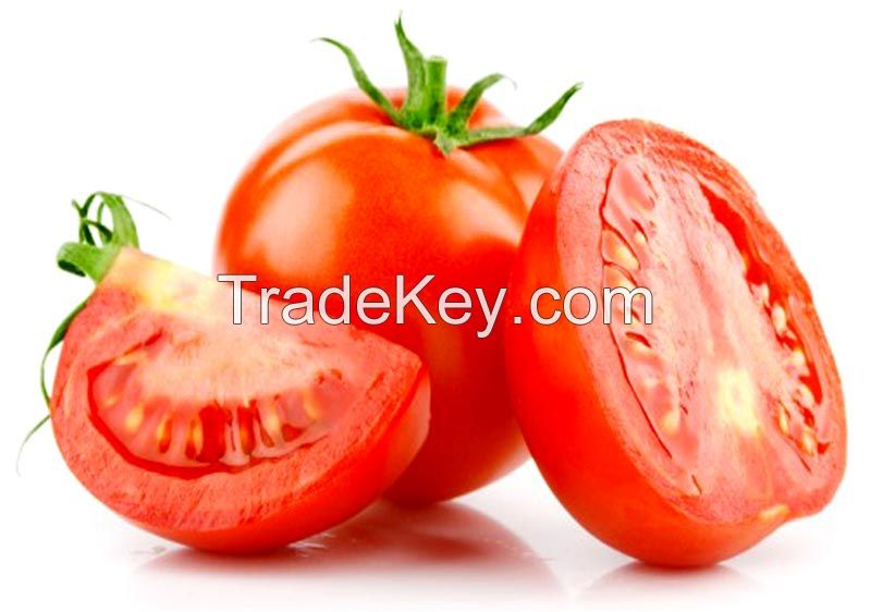 Fresh Tomatoes