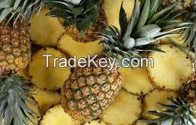 Fresh Pineapples