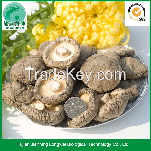 Chinese dried shiitake mushrooms black forest mushroom