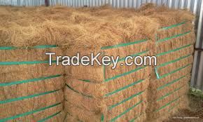 Premium Quality Coconut Fiber