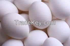 Fresh chicken egg white and brown size : 50 - 60 grm 60-75 grm Premium Table egg