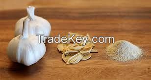 Dehydrated Garlic powder