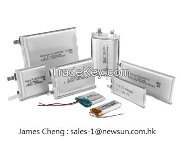 Li-Polymer Battery (1)