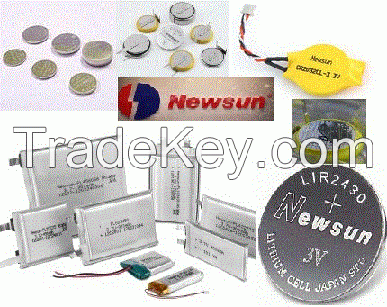 Li-Polymer Battery (5)