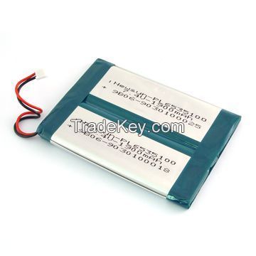 Li-Polymer Battery (7)