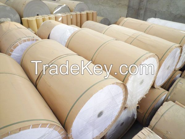 Duplex Board paper in Jumbo roll in Thailand for sale