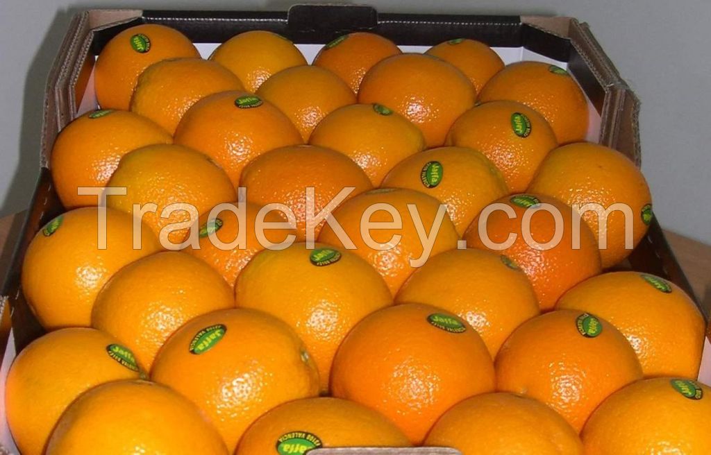 Fresh Oranges