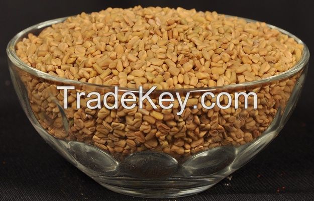 Fenugreek seeds