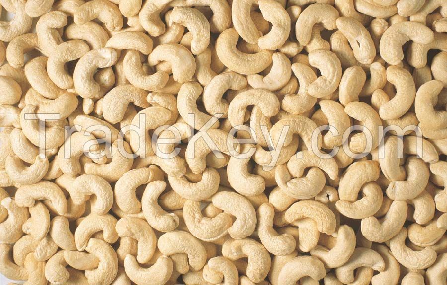 PROCESSED CASHEW NUTS