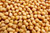 Tunisian Chickpeas