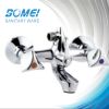 Dual Handle Economic Bathroom Faucet