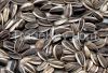 sunflower seeds