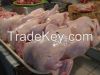 Halal Frozen Chicken Parts ( Best Price )