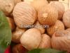 Almond Nuts, Peanuts, Walnuts, Betel Nuts