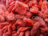 Dried Goji Berries, Frozen Goji Berries, Red Goji Fruit