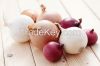 Fresh Onion, Red Onion, White Onion, Yellow Onion