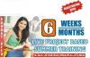 6 Months IT Industrial Training In Jalandhar