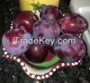 Fresh plum in high quantity in low price