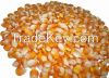 Dry Yellow Corn For Animal Feed