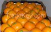 Fresh Citrus fruits, Apple, oranges, lemon, bananna, avocado, fresh vegetables