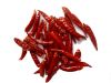 Sell dried hot chili